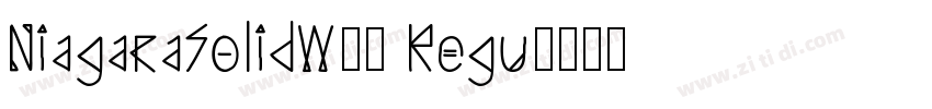 NiagaraSolidW00 Regu字体转换